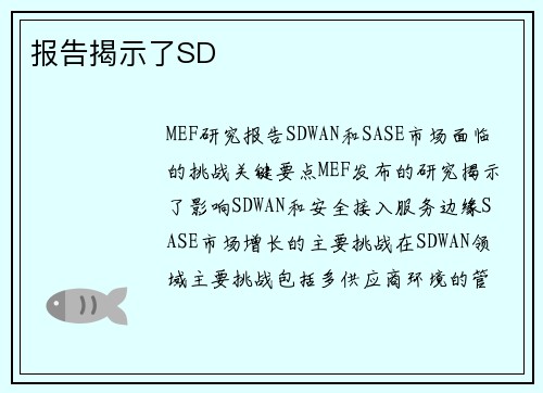 报告揭示了SD