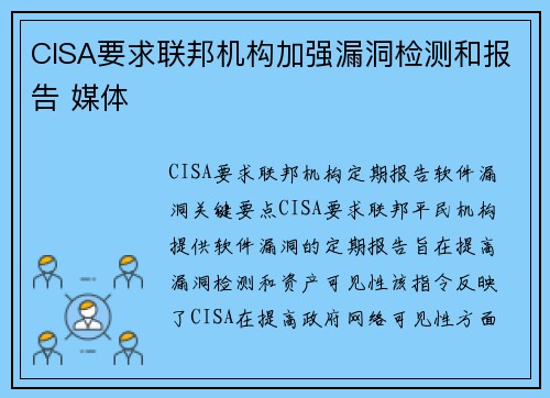 CISA要求联邦机构加强漏洞检测和报告 媒体
